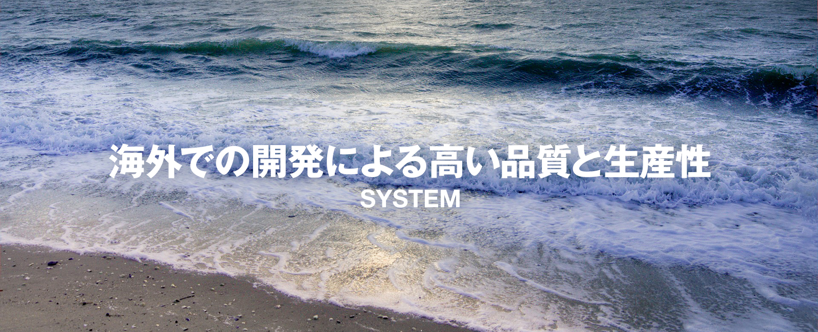 海外での開発による高い品質と生産性